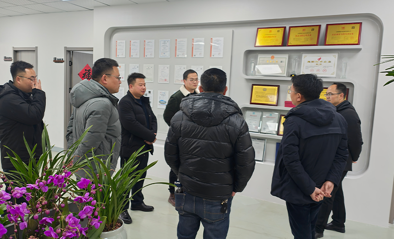 桐城市双港镇党委书记林国庆和镇党委委员副镇长都俊协白果书记胡荐椿等一行访问零度光电